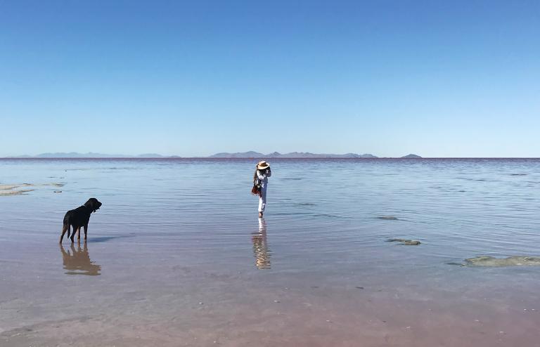 Spiral Jetty. Photo: Evergreene Studio.